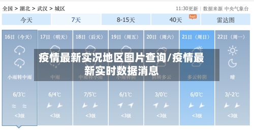 疫情最新实况地区图片查询/疫情最新实时数据消息-第1张图片